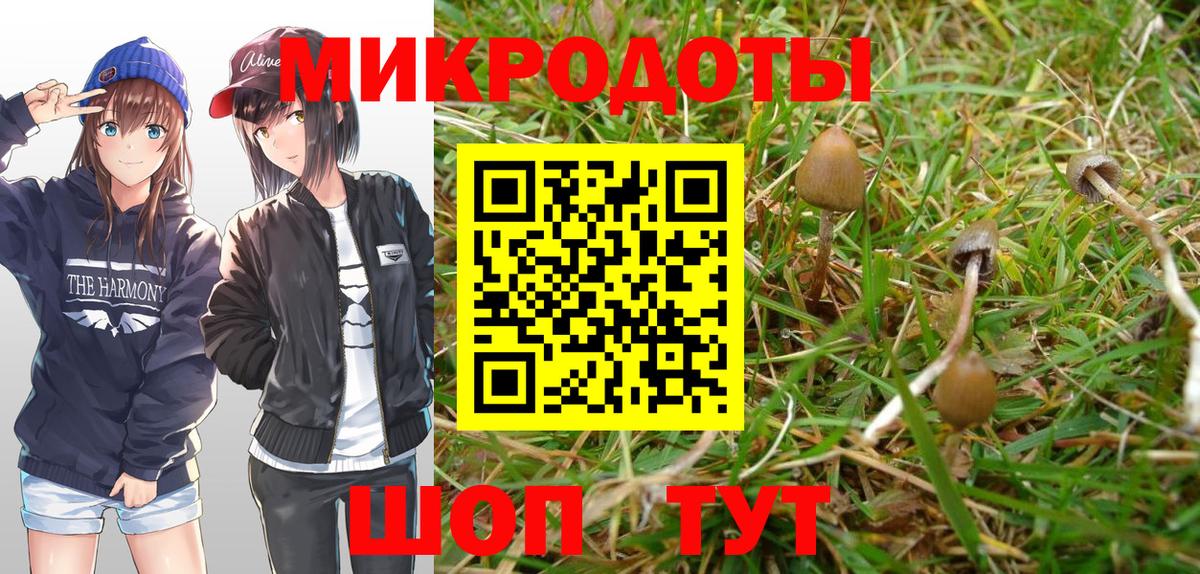 Псилоцибиновые грибы мицелий Удомля