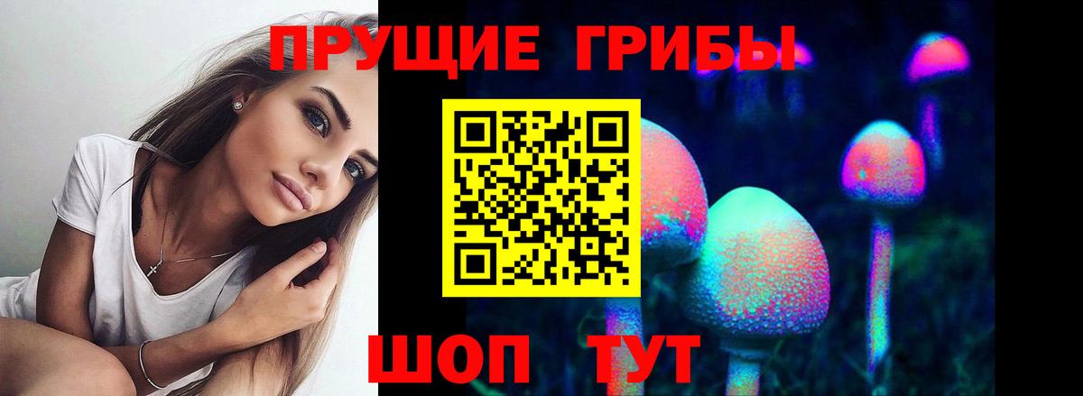 Удомля  Псилоцибиновые грибы MAGIC MUSHROOMS  Вход с VPN  Галлюциногенные грибы Psilocybe 